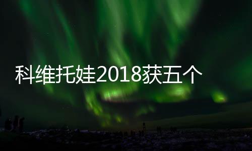 科维托娃2018获五个单打冠军 收获TOP20外卡