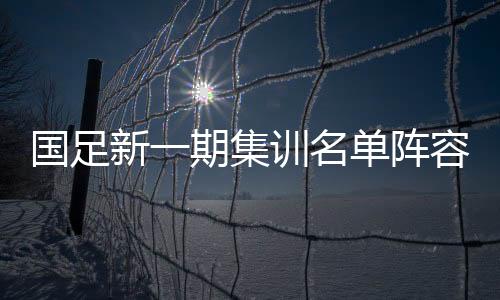 国足新一期集训名单阵容:洛国富入围 恒大5人国安6人