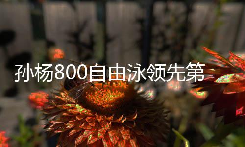孙杨800自由泳领先第2名近5秒夺冠 获亚运第二金