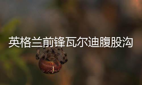 英格兰前锋瓦尔迪腹股沟不慎拉伤 出战1/4决赛成疑