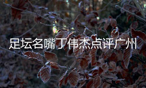 足坛名嘴丁伟杰点评广州蒲公英青训 3点必须注意