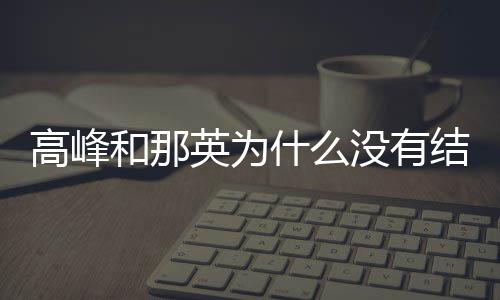 高峰和那英为什么没有结婚 贩毒前也曾因打人吸毒被捕