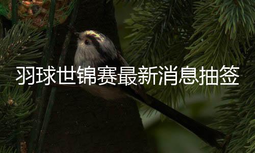 羽球世锦赛最新消息抽签结果分析:林丹佛系谌龙冲四强