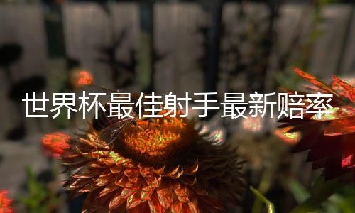 世界杯最佳射手最新赔率：凯恩2战5球反超C罗居榜首