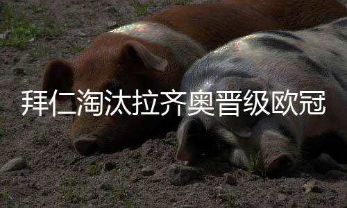 拜仁淘汰拉齐奥晋级欧冠八强