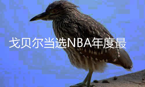 戈贝尔当选NBA年度最佳防守球员 击败浓眉哥+恩比德