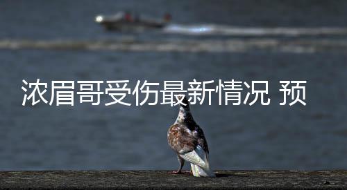 浓眉哥受伤最新情况 预计戴维斯将缺席两场比赛