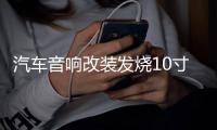 汽车音响改装发烧10寸12寸双磁双音圈超重低音车载无源低音炮喇叭