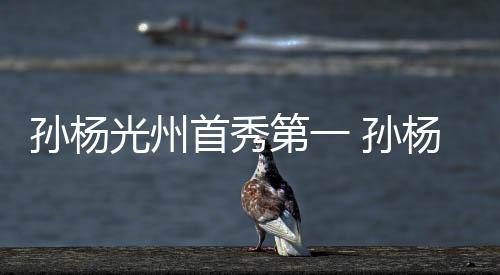 孙杨光州首秀第一 孙杨自由泳四连冠职业生涯成绩盘点