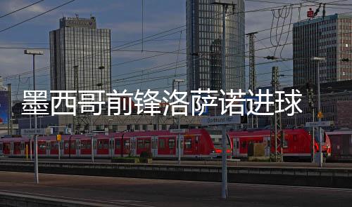 墨西哥前锋洛萨诺进球 墨西哥城球迷庆祝引起轻微地震