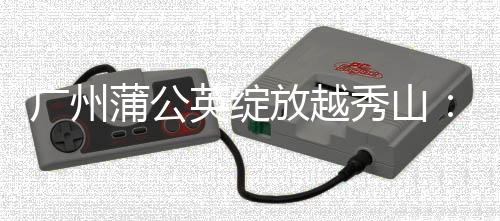 广州蒲公英绽放越秀山：一支中乙球队的品牌雄心