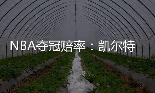 NBA夺冠赔率：凯尔特人领跑 湖人跌出第一梯队