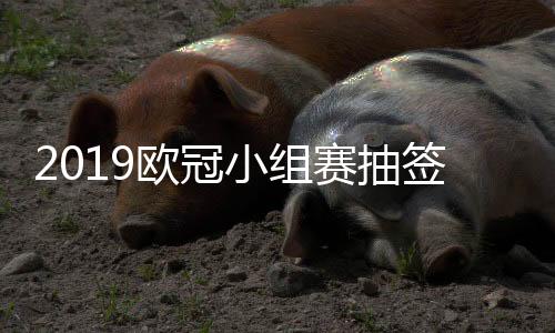 2019欧冠小组赛抽签结果分组名单情况 对战时间安排