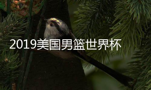 2019美国男篮世界杯15人大名单 篮球国家队主教练波波维奇